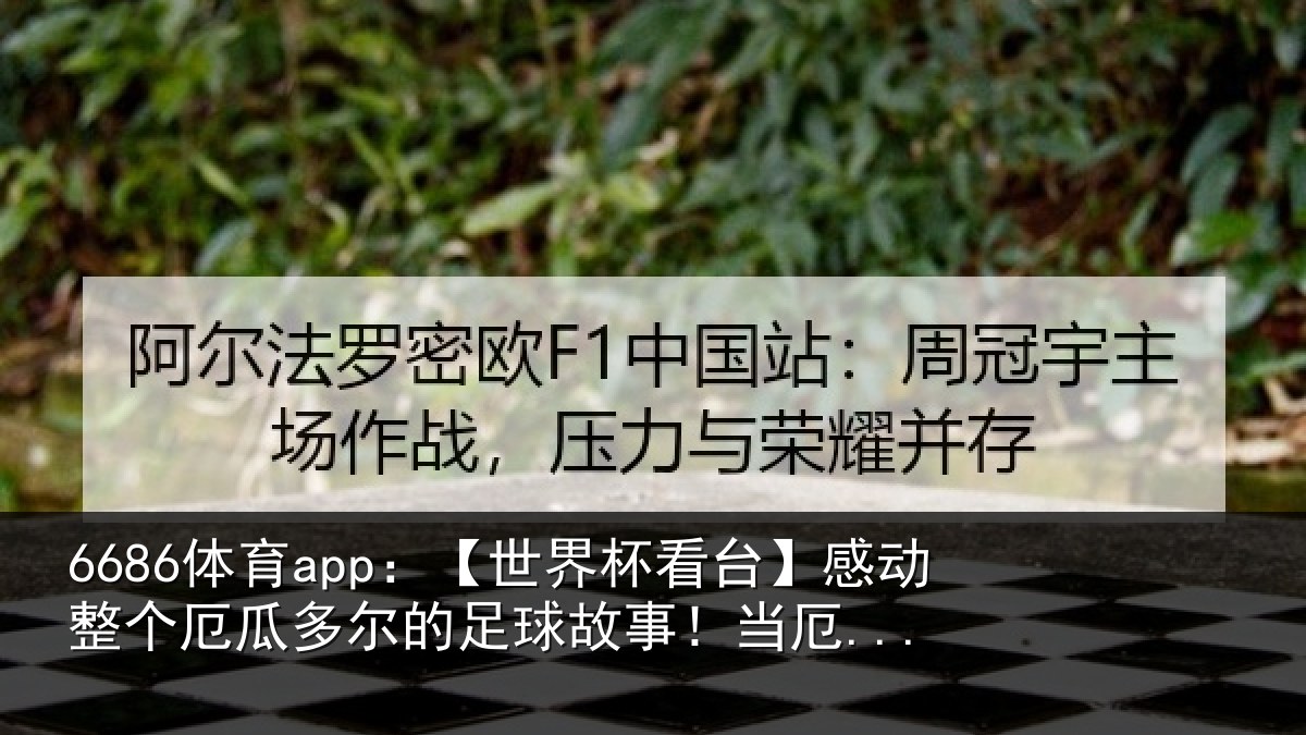 6686体育app:【世界相关情况瓜多相关情况...